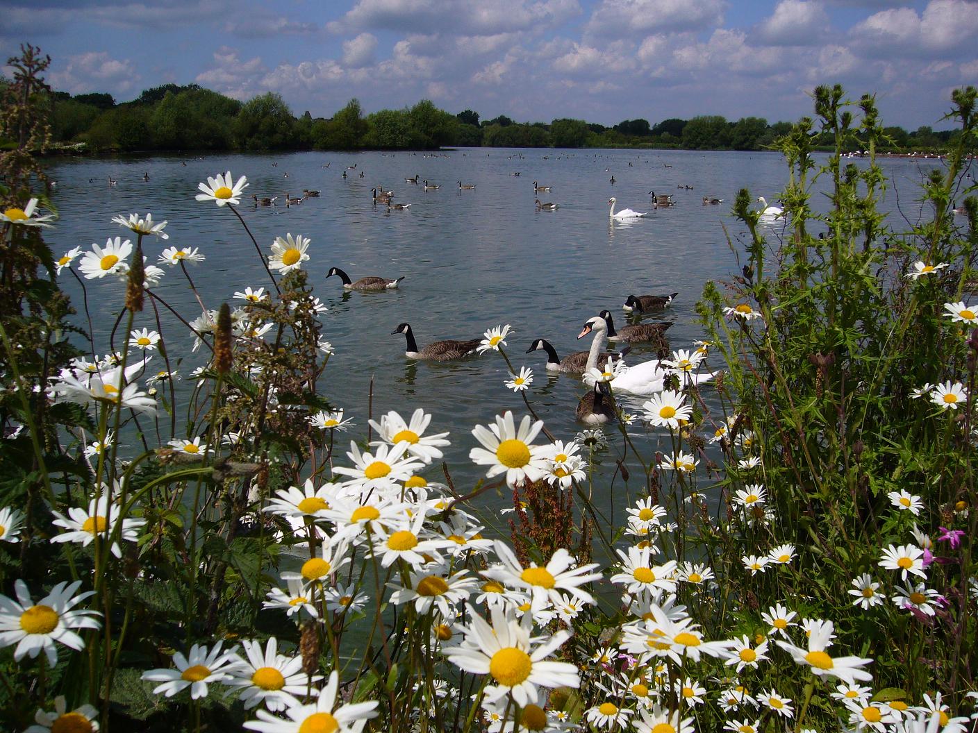 Leicester, Leicestershire, England